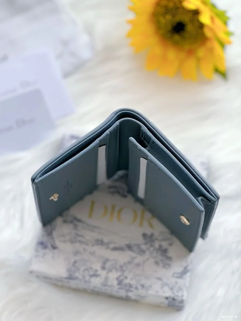 Dior Purse Wallets 46710 WeatherProof Christian 0725